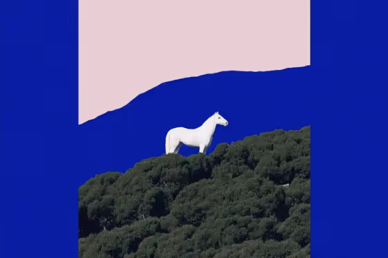 Minimalist Poetry