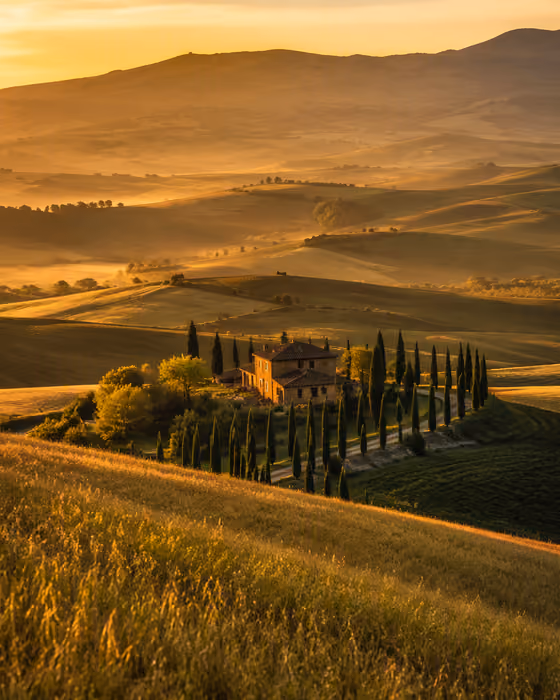 Tuscan Golden Hour