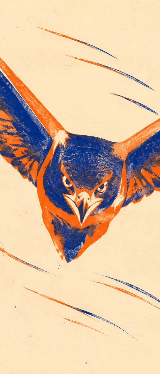 Risograph Hawk Print