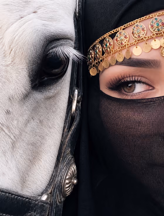 Horse and Veil Portrait