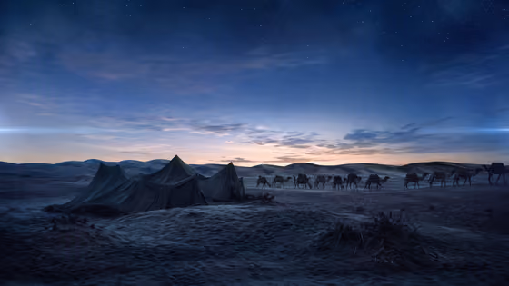 Desert Caravan Photography