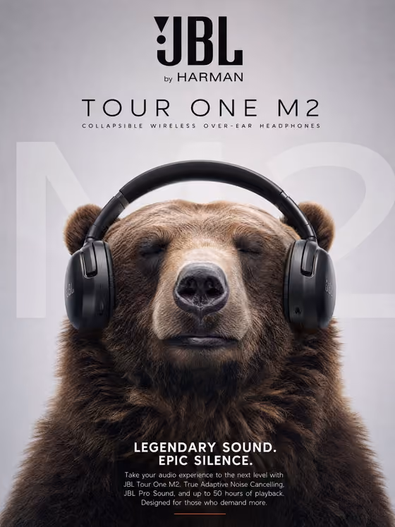 Grizzly Audio Poster template result