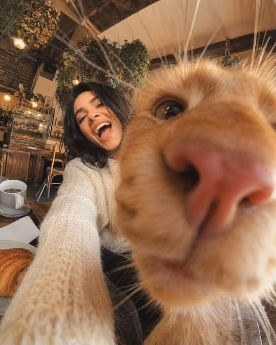 Pet Photobomb Selfie