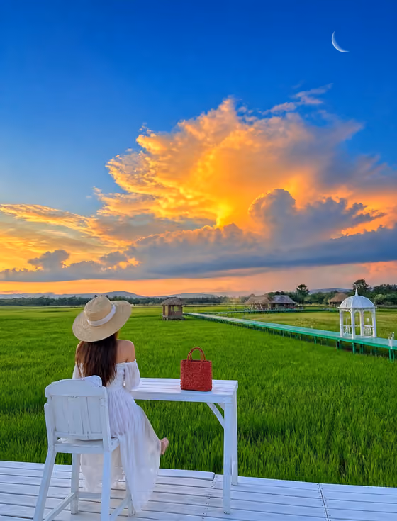 Rice Field Dusk Portrait