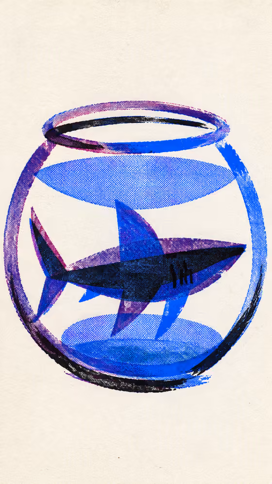 Riso Shark Bowl Print
