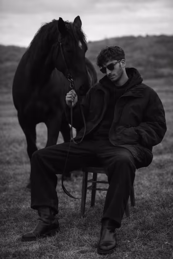 Field and Black Horse