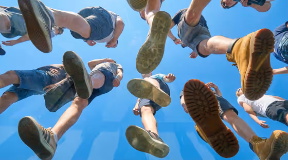 View From Under A Plane Of Completely Transparent template result