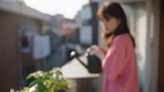 Seoul Summer Morning Home Video