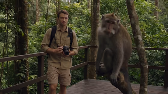 Forest Hiker Monkey Mimic Comedy