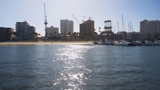 Giant Octopus Harbor Found Footage Video