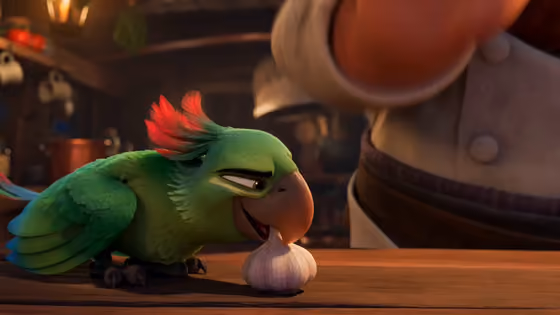 Pirate Chef And Parrot Kitchen Comedy