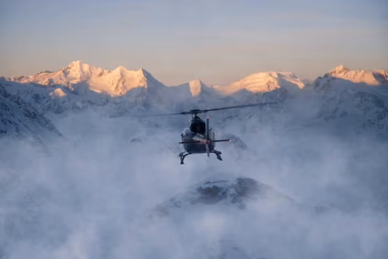 Arctic Helicopter Wildlife Adventure