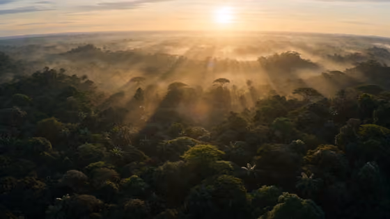 Cinematic Jungle Tiger Transformation