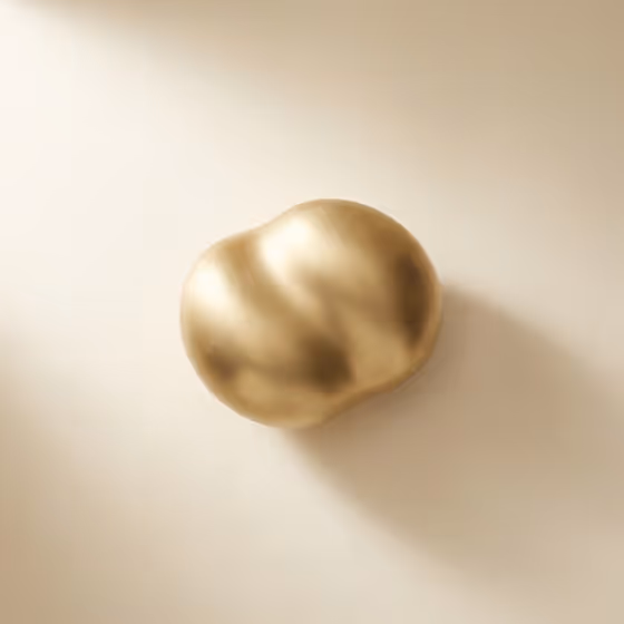 Abstract Gallery Form