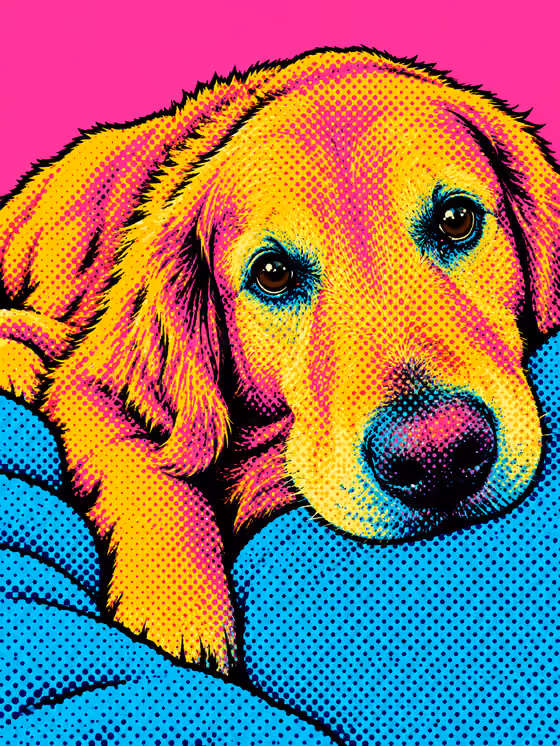 Pop Art Pet
