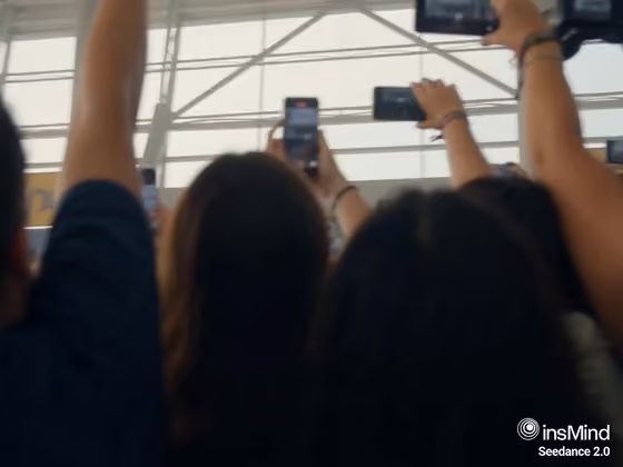 Celebrity Airport Entry