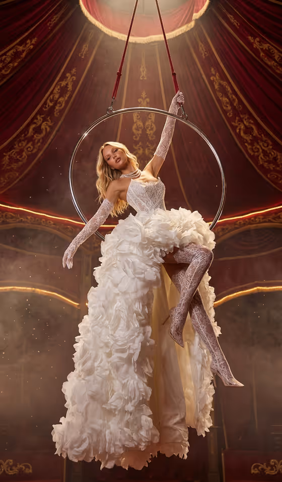Aerial Circus Performer