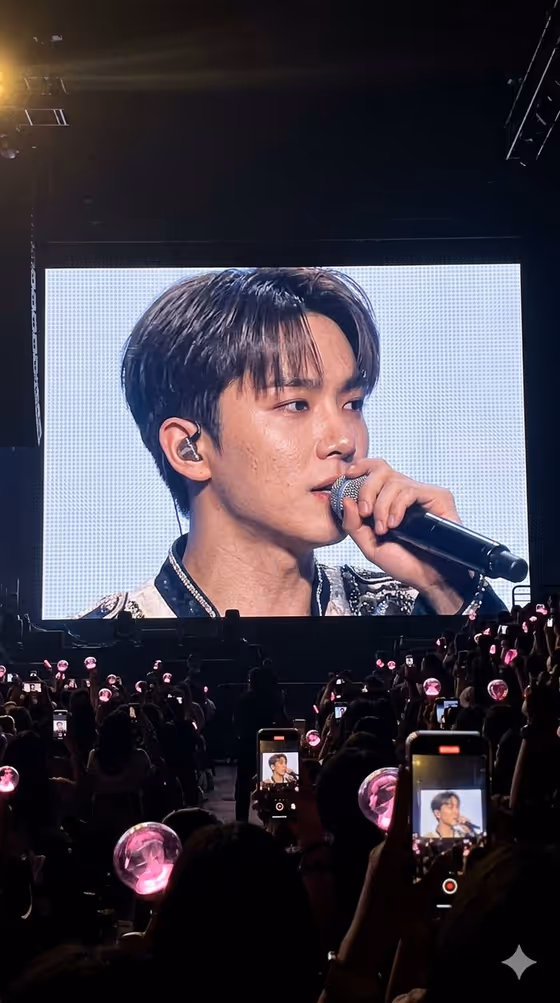 Vibrant Concert Screen