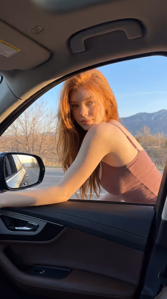 Car Window Portrait template result