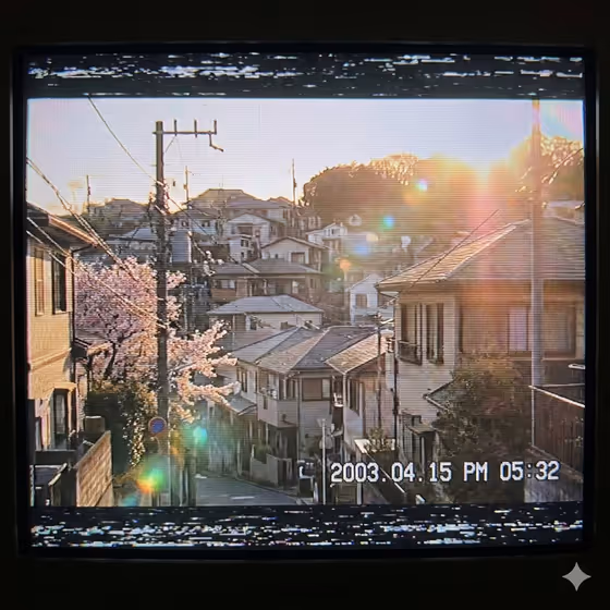 Old Footage Place