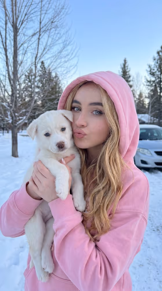 Playful Winter Puppy Portrait