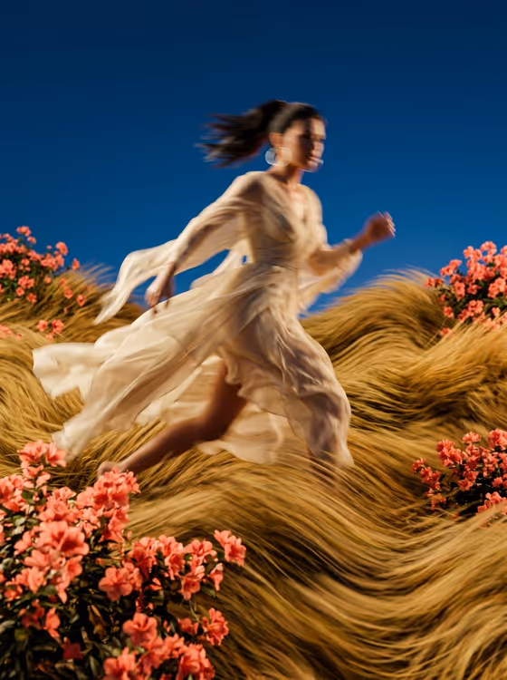 Blurred Meadow Run
